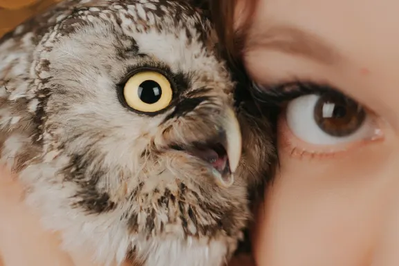 Lottomart Casino Supporto